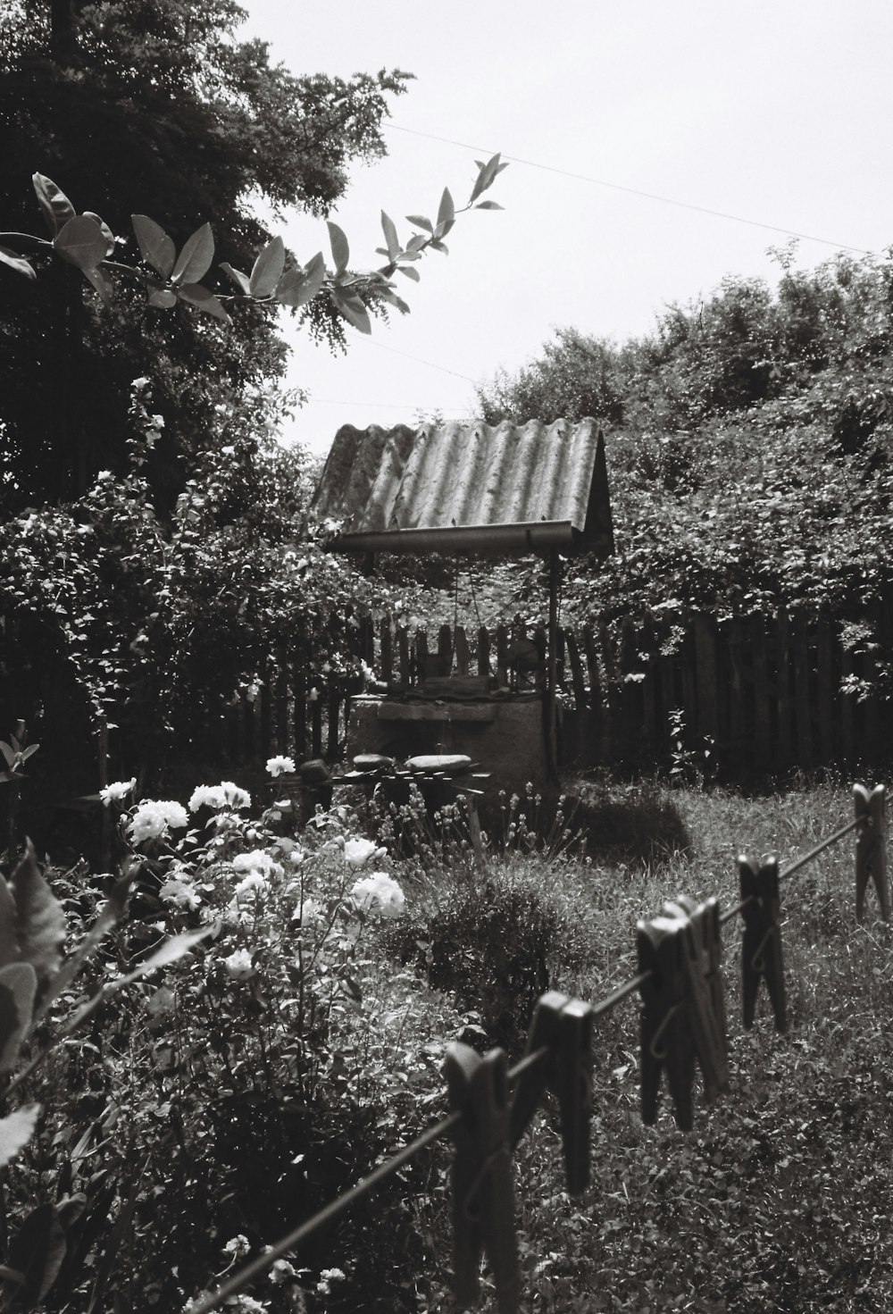 a black and white photo of clothes hanging on a clothes line