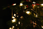 A close-up of sparkling Christmas lights adorning a tree, creating a warm and inviting atmosphere.