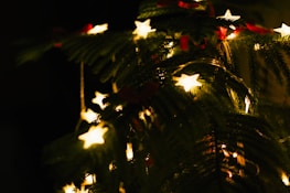 A close-up of sparkling Christmas lights adorning a tree, creating a warm and inviting atmosphere.
