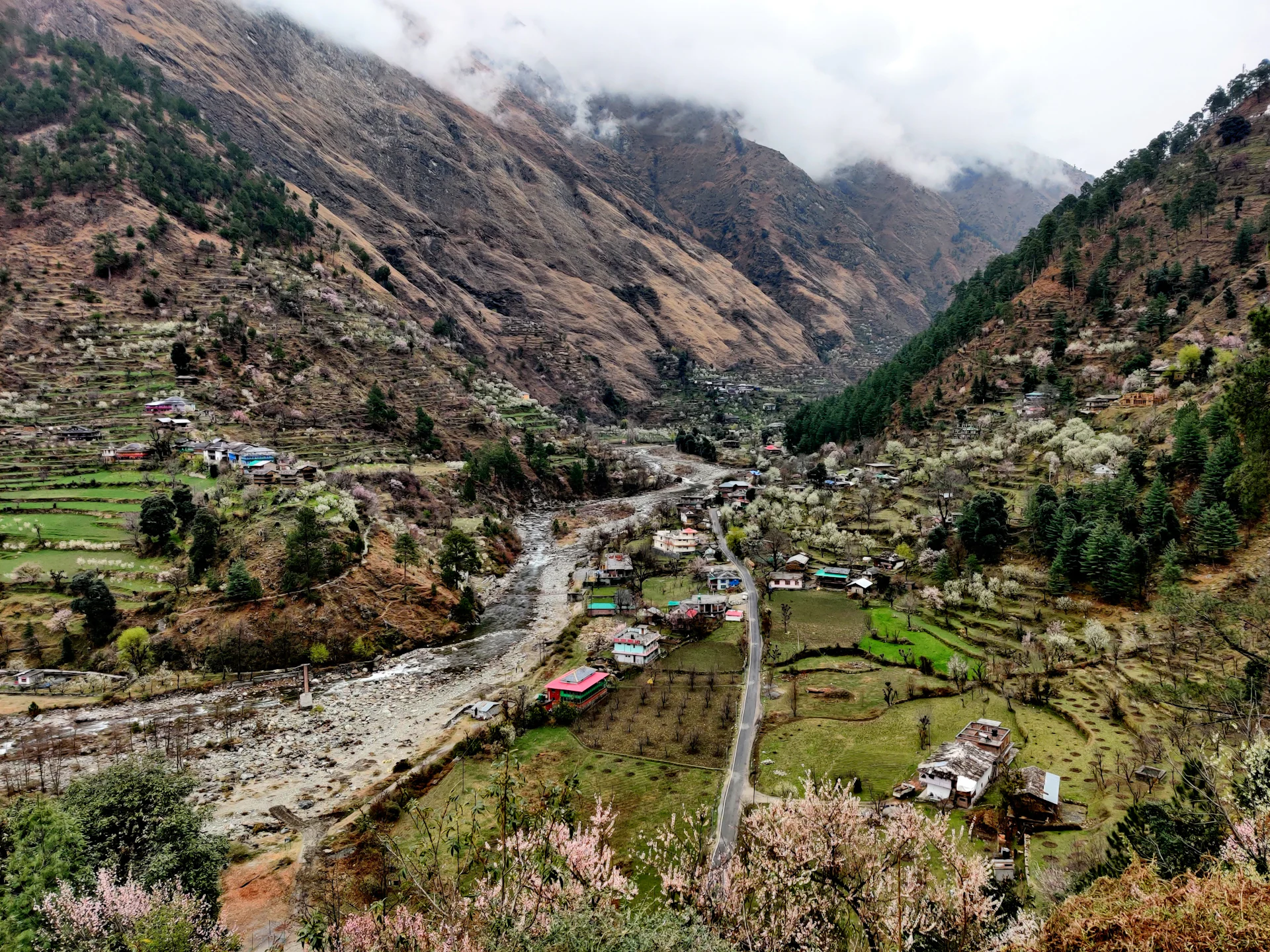 Manali to Jibhi by taxi