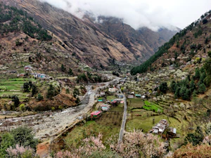 Jibhi