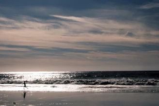 Players jogging along the shoreline, sunlight glinting off the waves.