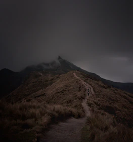 A lone figure walking along a winding trail under a soft gray sky.