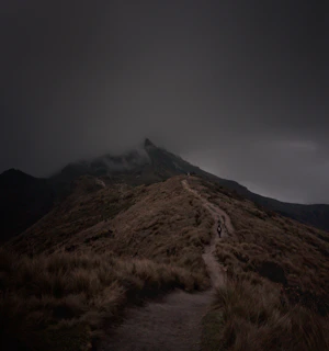 A lone figure walking along a winding trail under a soft gray sky.