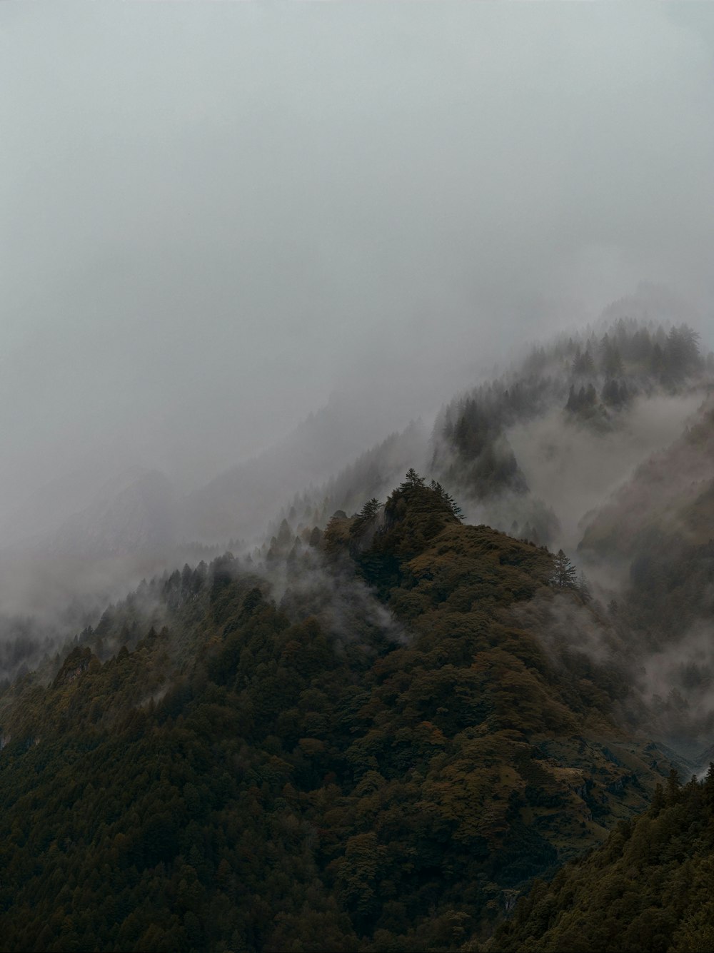 a mountain covered in fog and low lying clouds