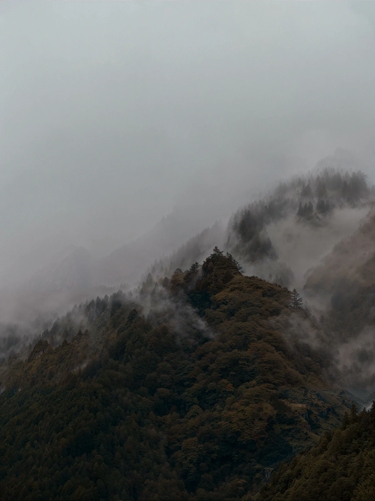 Low Cloud