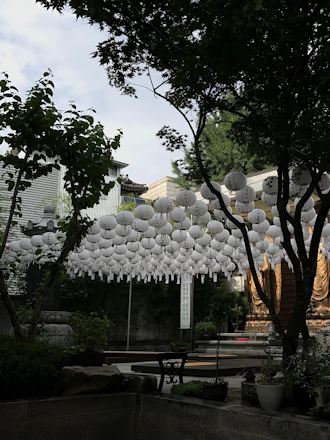 Sunlight gently filters through paper lanterns in a serene community hall with simple wooden benches.