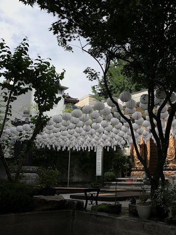 A peaceful outdoor setting prepared for a cultural tradition honoring past generations.