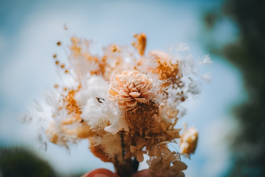 A close-up of a bouquet of flowers, primarily featuring a mix of dried and fresh flowers. The arrangement showcases soft, pastel colors with intricate details in the petals and textures. The background is a soft, blurred blue sky with hints of green foliage, creating a dreamy and serene ambiance.
