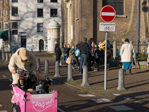 A person in a fluffy beige outfit is pushing a bright pink cargo bike with several small dogs inside. Behind, a group of people walk along a brick path near an urban building. A red no entry sign is visible, with a bicycle exception noted. Shadows indicate it's a sunny day.