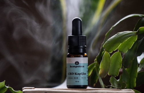 A small brown bottle with a dropper lid labeled 'CBD Kapljice' is situated on a light-colored wooden surface. The bottle features a label with green accents and appears to contain liquid. Surrounding the bottle are green leaves from a succulent plant, creating a natural setting. Wisps of white smoke or mist add an ethereal quality to the atmosphere.