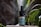A small brown bottle with a dropper lid labeled 'CBD Kapljice' is situated on a light-colored wooden surface. The bottle features a label with green accents and appears to contain liquid. Surrounding the bottle are green leaves from a succulent plant, creating a natural setting. Wisps of white smoke or mist add an ethereal quality to the atmosphere.