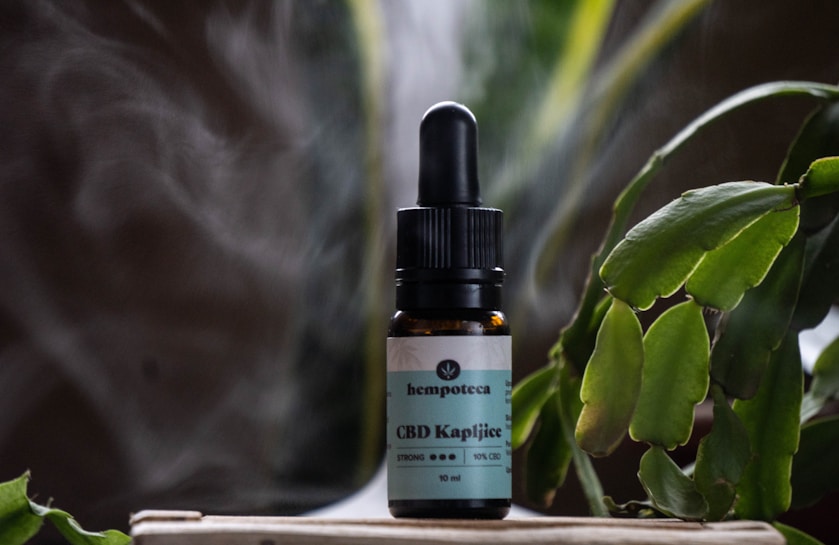A small brown bottle with a dropper lid labeled 'CBD Kapljice' is situated on a light-colored wooden surface. The bottle features a label with green accents and appears to contain liquid. Surrounding the bottle are green leaves from a succulent plant, creating a natural setting. Wisps of white smoke or mist add an ethereal quality to the atmosphere.