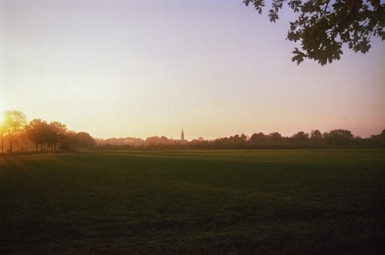 A serene landscape featuring a vast green field under a clear sky during a sunset or sunrise. The horizon is lined with silhouettes of trees and a distant church spire. The sunlight casts long shadows and a warm glow across the scene. Some tree branches frame the top right corner.