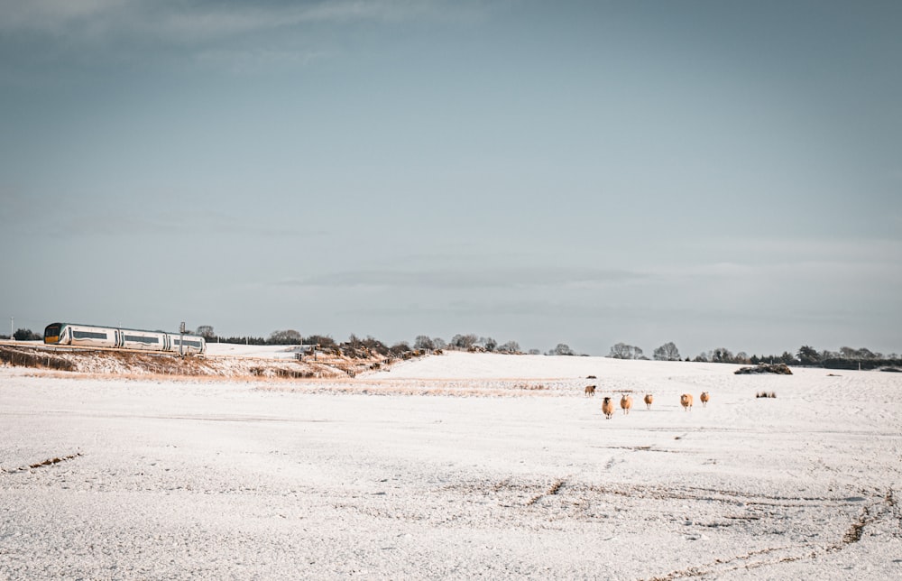 a snowy field with hay bales in the foreground