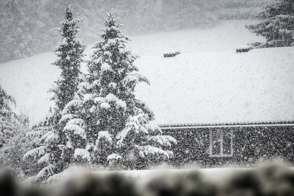 a house covered in snow next to trees