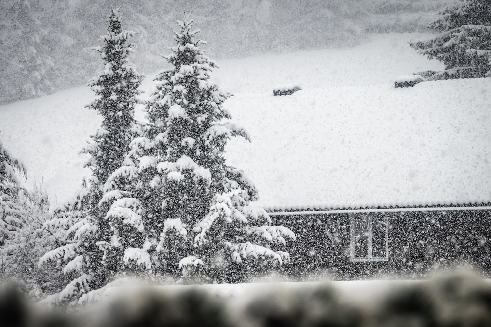 una casa coperta di neve accanto agli alberi