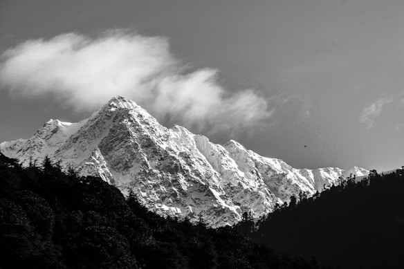 A striking black and white photograph of a snow-capped mountain range under a partially cloudy sky. The foreground is dominated by dark silhouettes of trees, creating a stark contrast with the bright white of the snow.