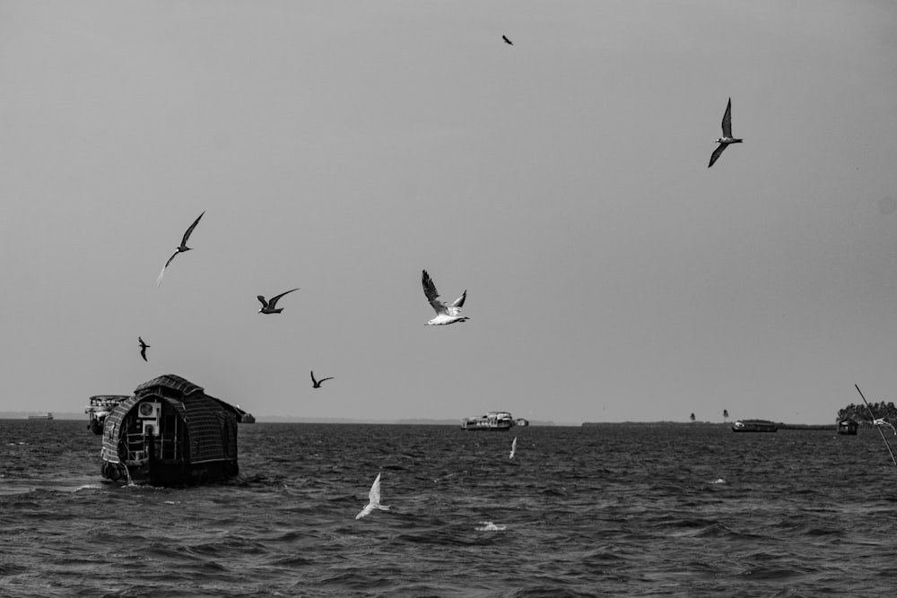 una bandada de pájaros volando sobre un cuerpo de agua