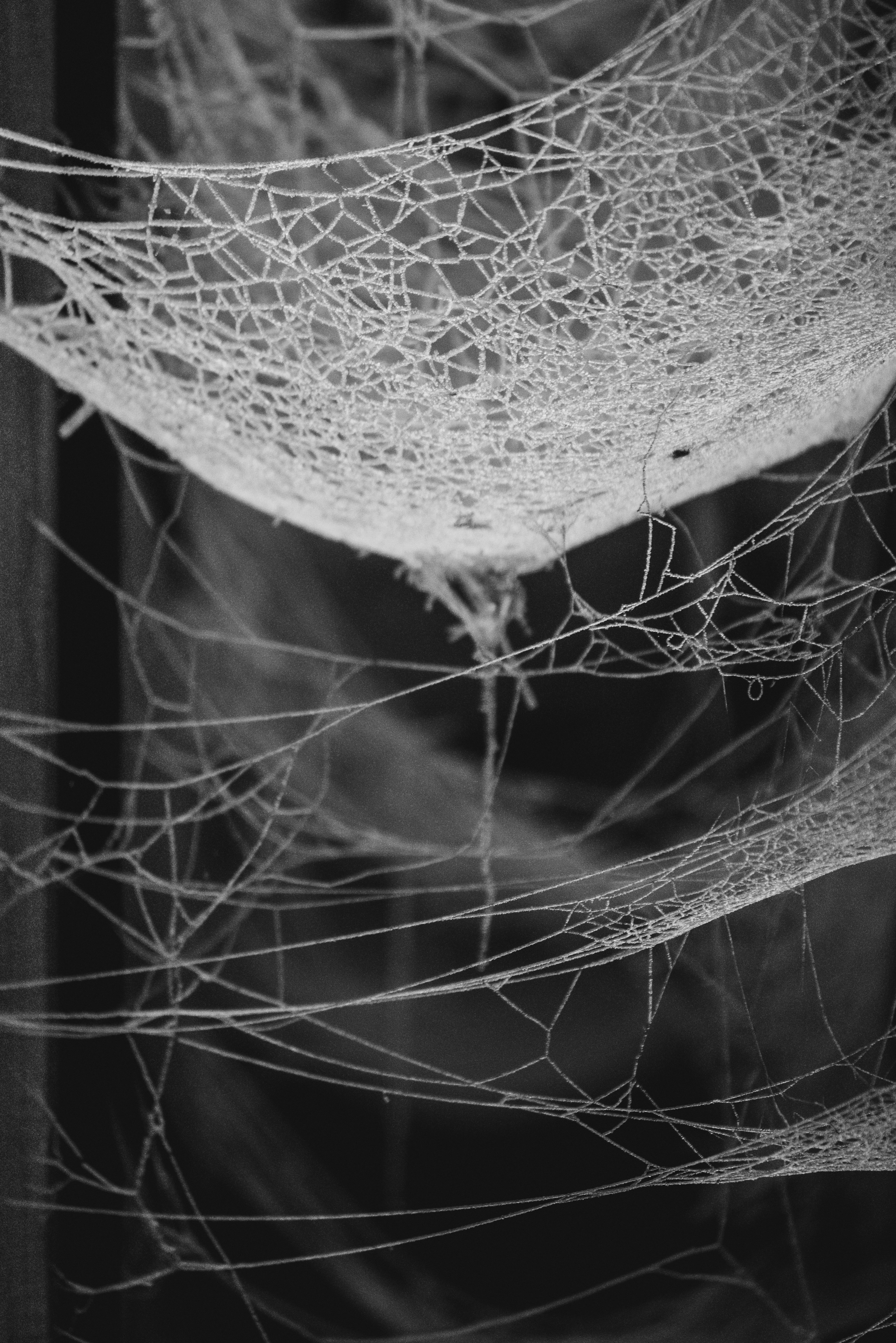 Photo by mattseymour