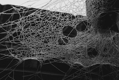 a spider web hanging from the side of a building