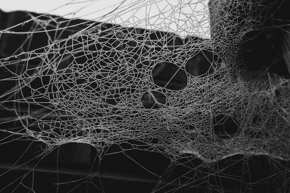 a spider web hanging from the side of a building