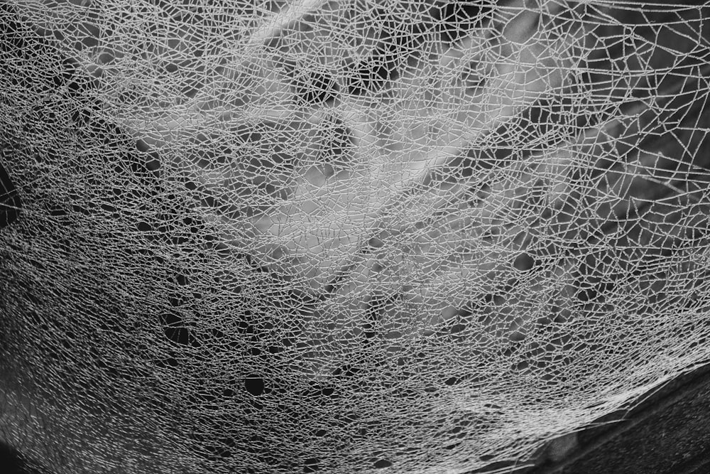 a black and white photo of a spider web