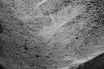 a black and white photo of a spider web