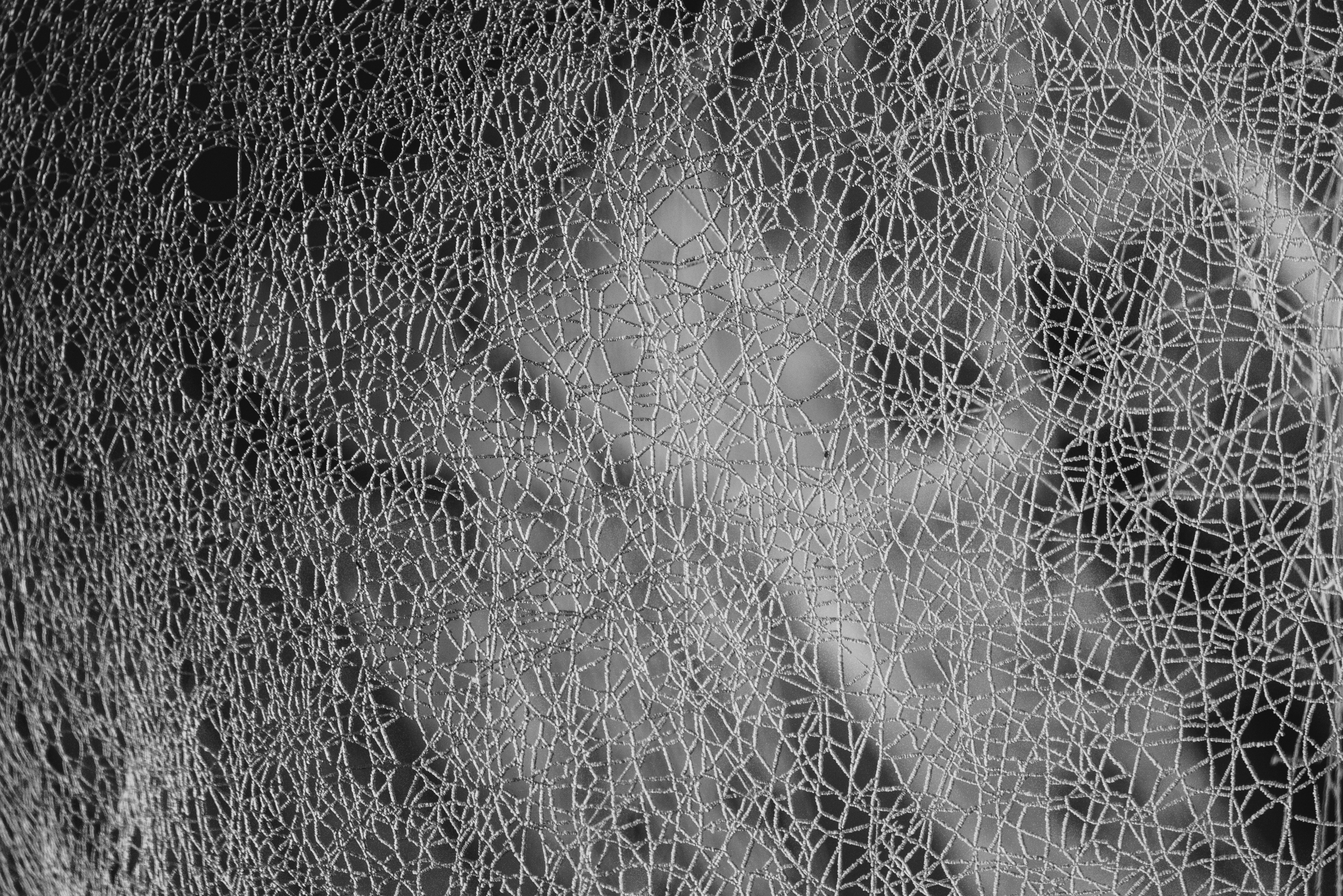 Photo by mattseymour