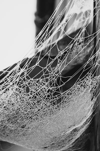 a black and white photo of a net