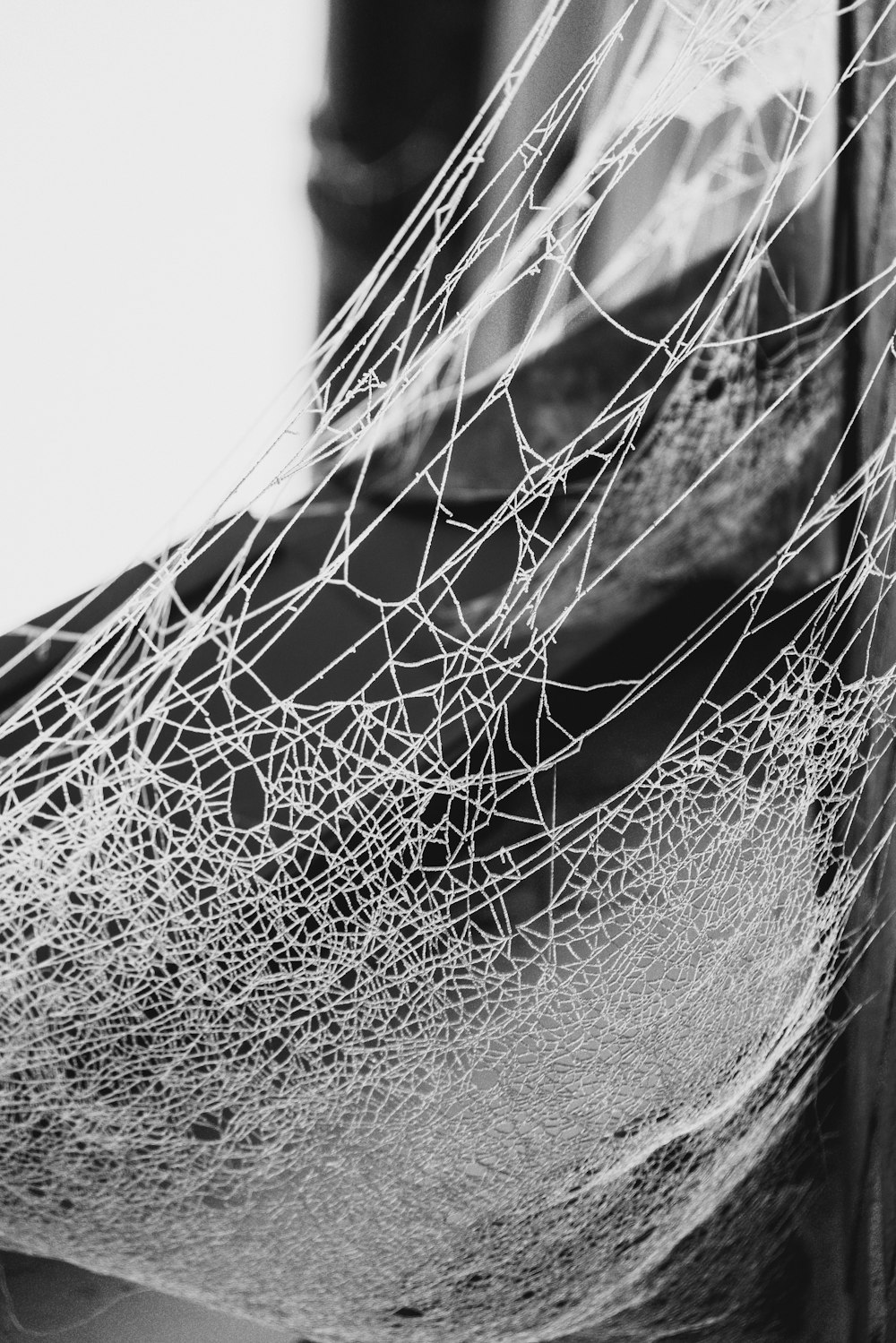 a black and white photo of a net