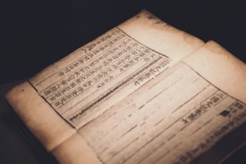 An aged book is open, displaying rows of text written in an Asian script. The pages are yellowed with age, suggesting that the book is quite old. The text is laid out in a neat and orderly fashion, with each line closely spaced.