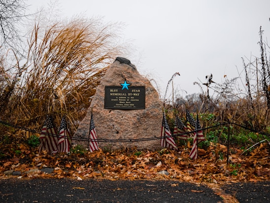 A large stone with a plaque dedicated to military services stands in front of tall, dry grasses and autumn leaves. Several small American flags are placed around the base of the stone, and a black rope forms a boundary around the memorial.