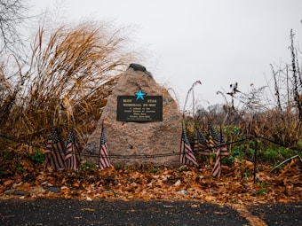 A large stone with a plaque dedicated to military services stands in front of tall, dry grasses and autumn leaves. Several small American flags are placed around the base of the stone, and a black rope forms a boundary around the memorial.