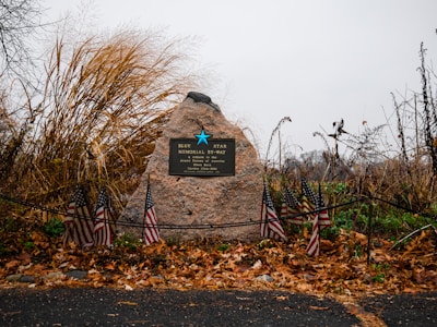 A large stone with a plaque dedicated to military services stands in front of tall, dry grasses and autumn leaves. Several small American flags are placed around the base of the stone, and a black rope forms a boundary around the memorial.