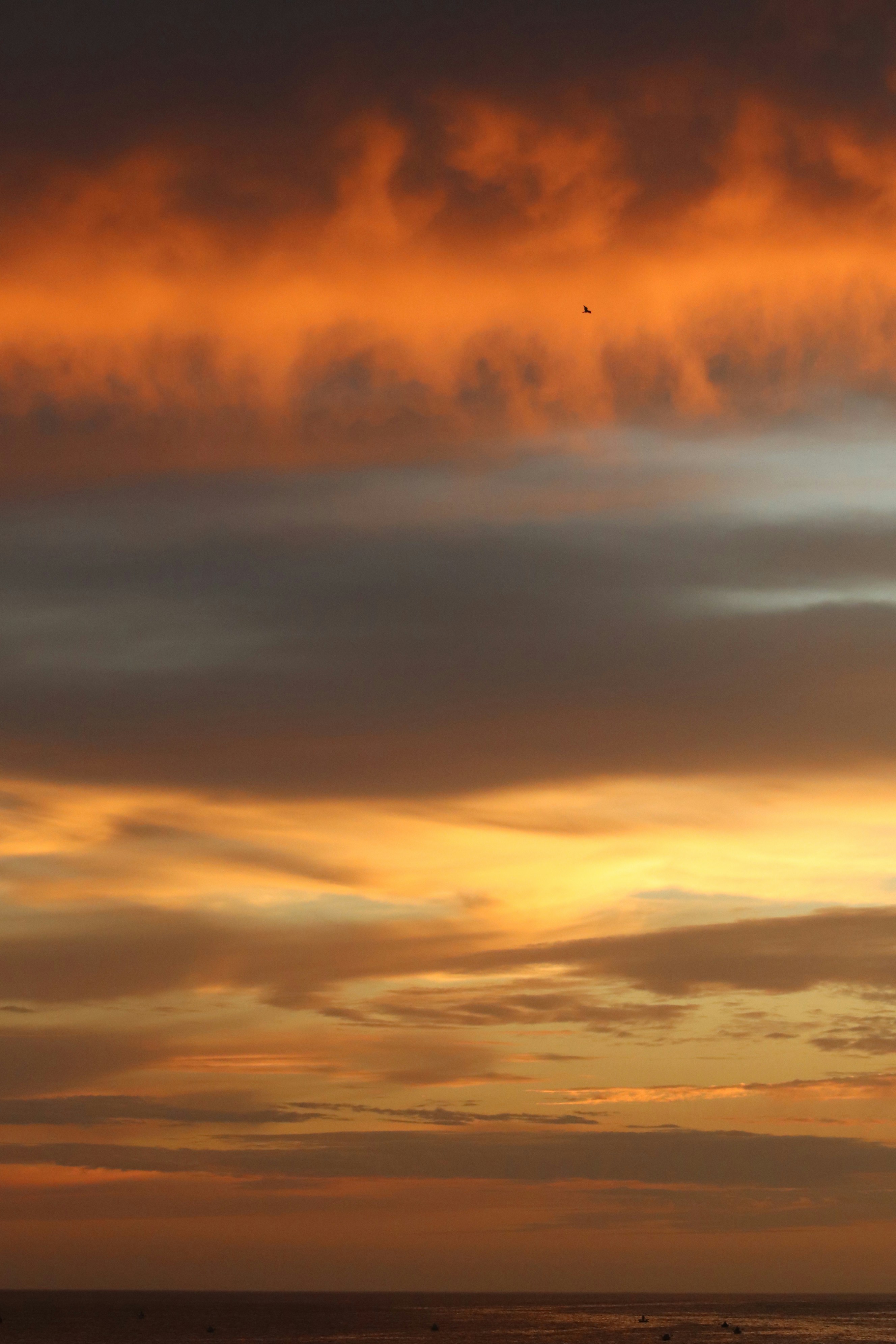 Photo by ribeiro__jean