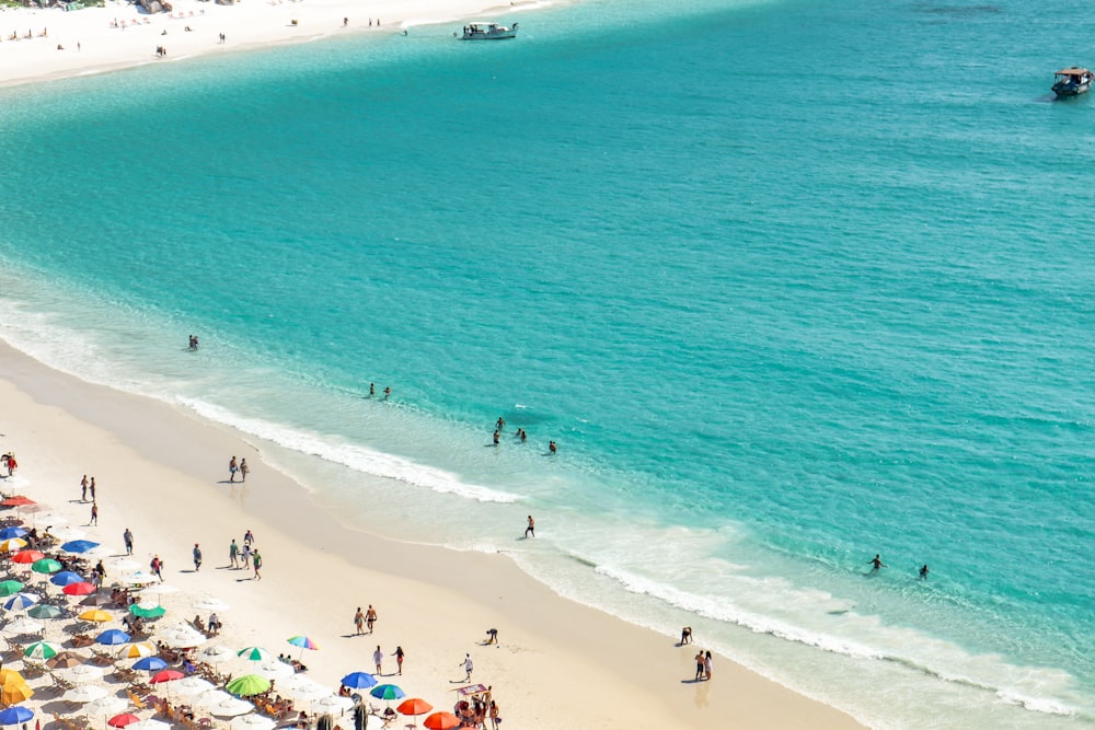 a group of people standing on top of a sandy beach