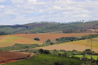 a view of a lush green valley with trees