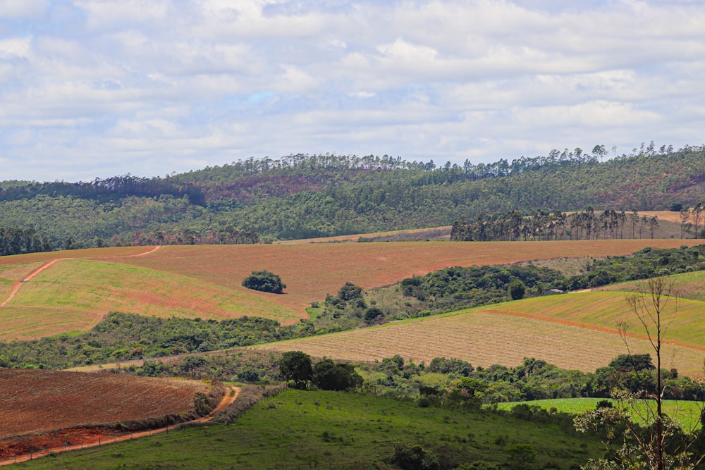 a view of a lush green valley with trees