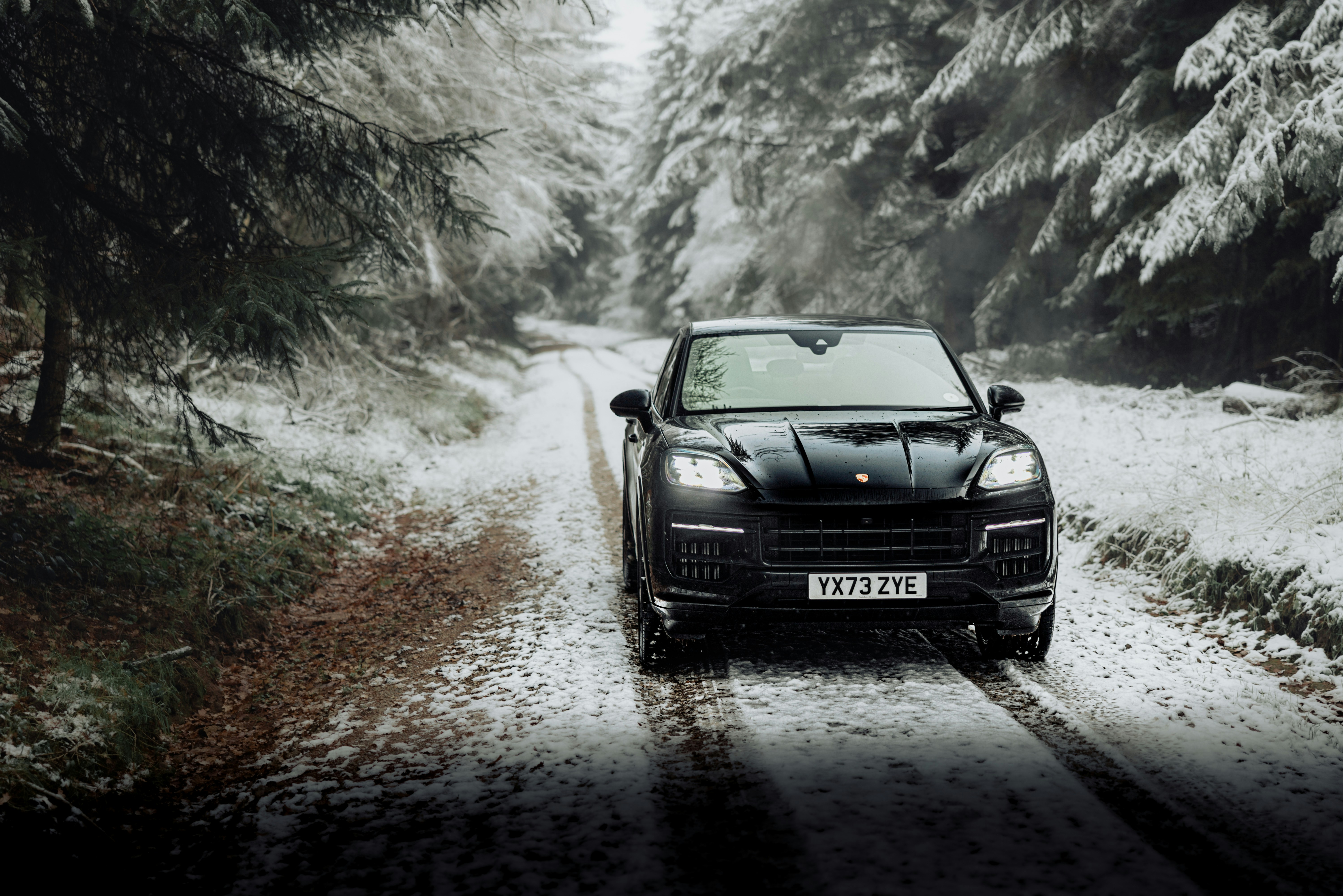 Photo by lukethorntonofficial