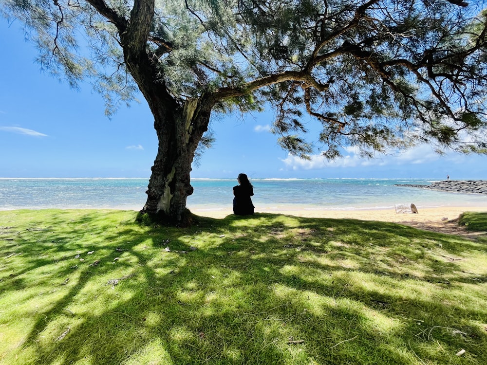 a person sitting under a tree on a beach