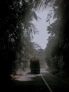 Delivery truck driving through a tropical Central American landscape