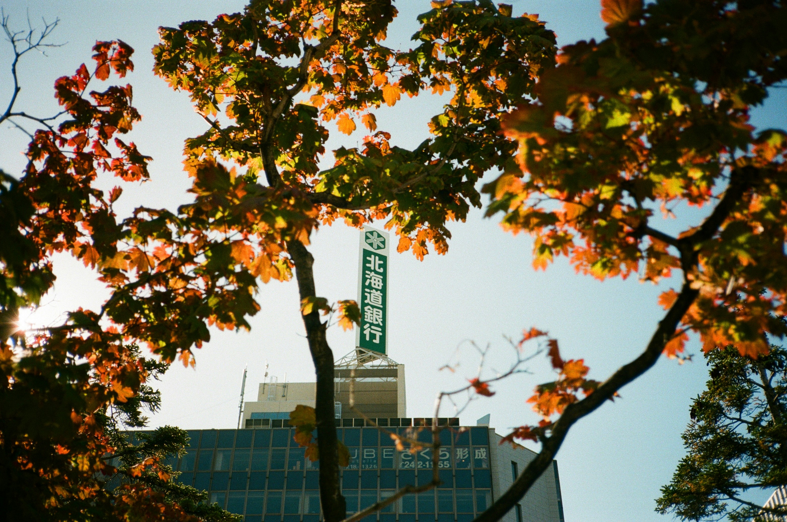 JRタワーホテル日航札幌 (JR Tower Hotel Nikko Sapporo) hotel