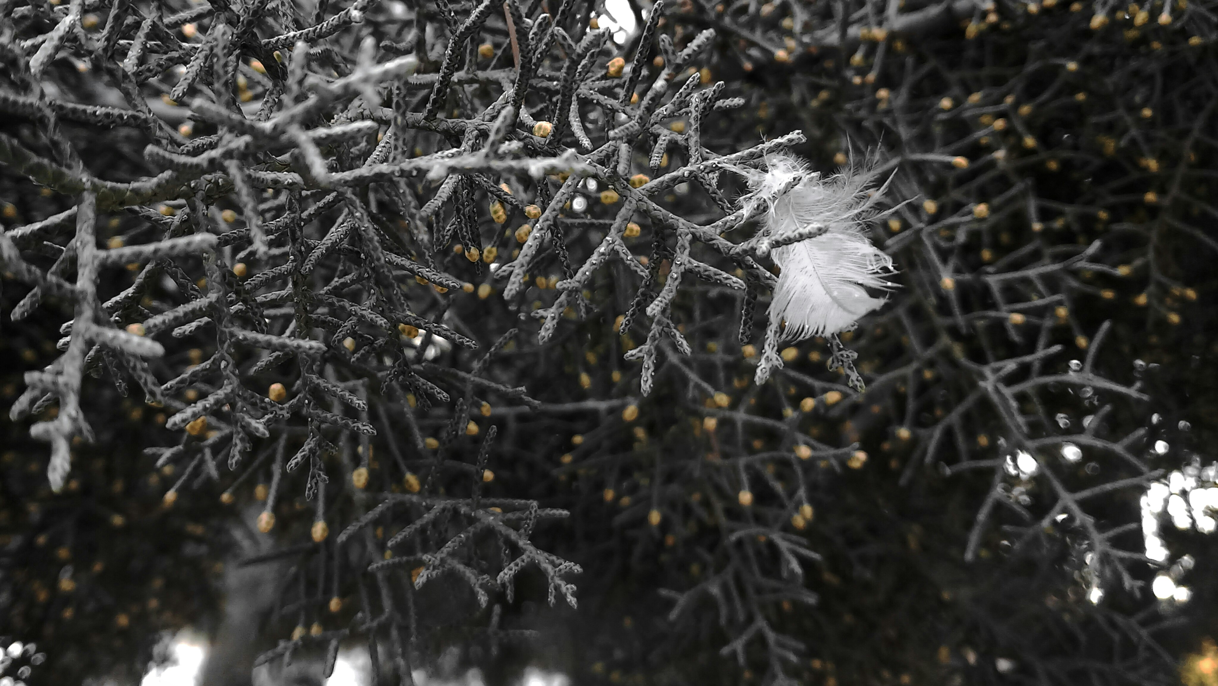 Photo by nimi_narges