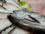 Several fresh fish are laid out on a bed of crushed ice. The fish have silver, shiny scales and large eyes. There are some green lettuce leaves in the background, adding a touch of color.