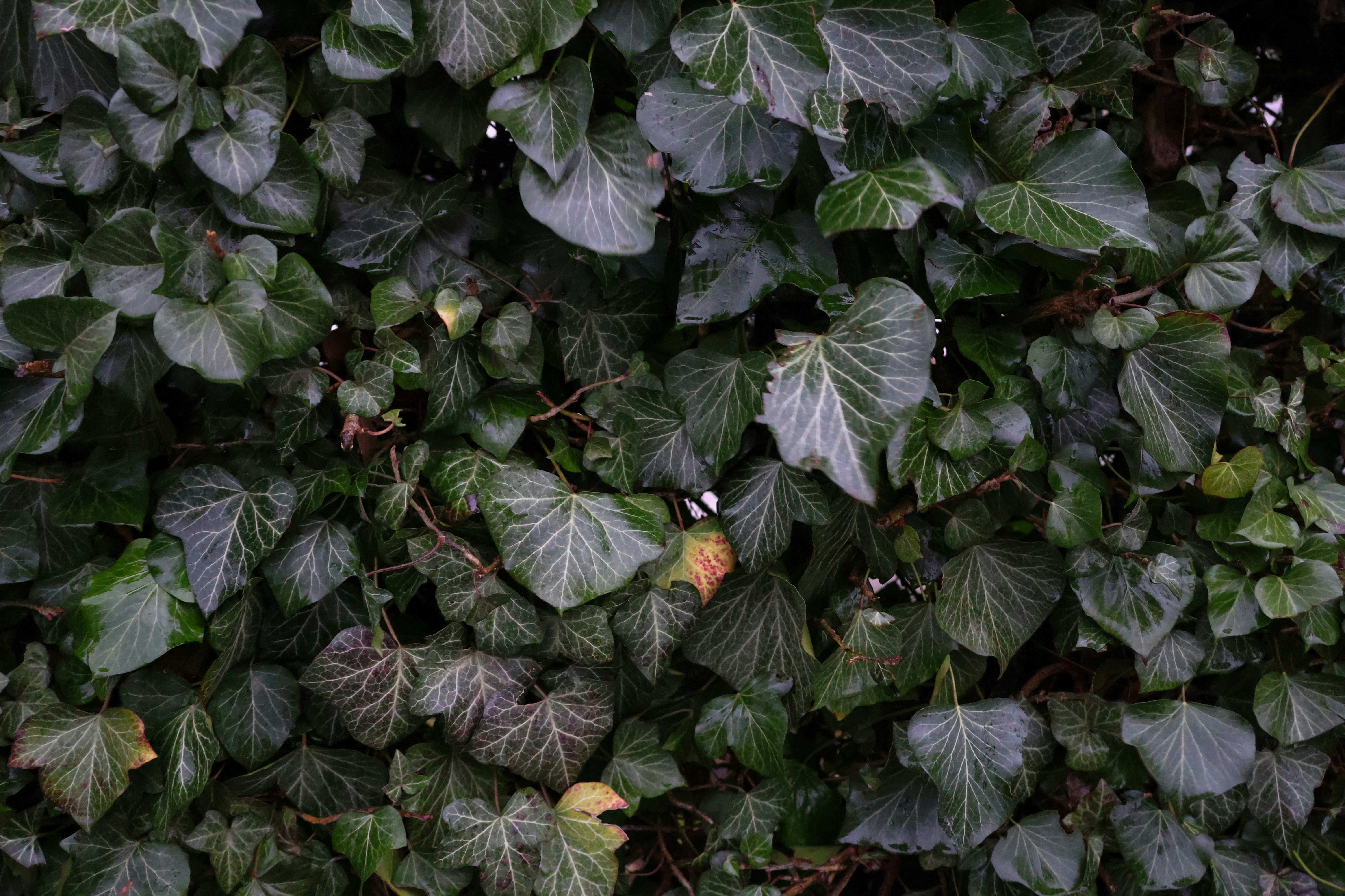 Photo by your_mamacita