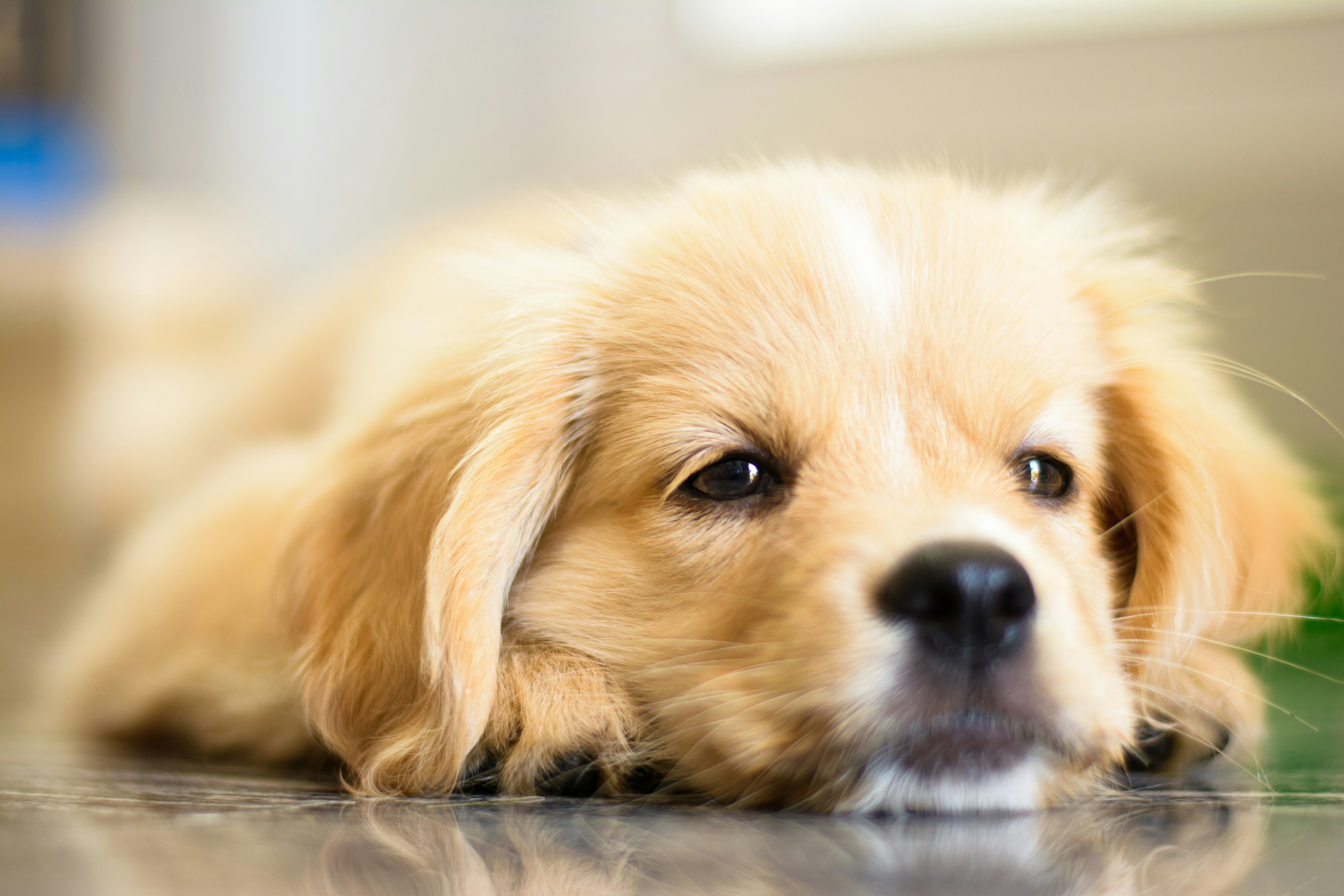 Funders, stop viewing your tedious and paternalistic requirements as nonprofit "accountability"