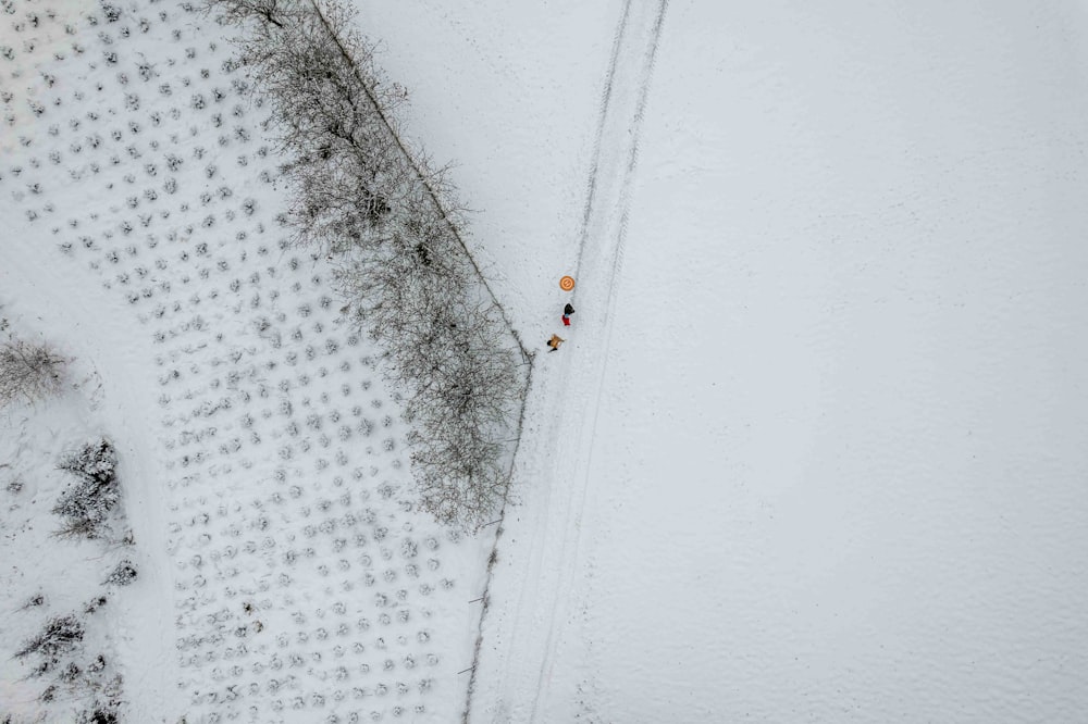 an aerial view of a person walking in the snow
