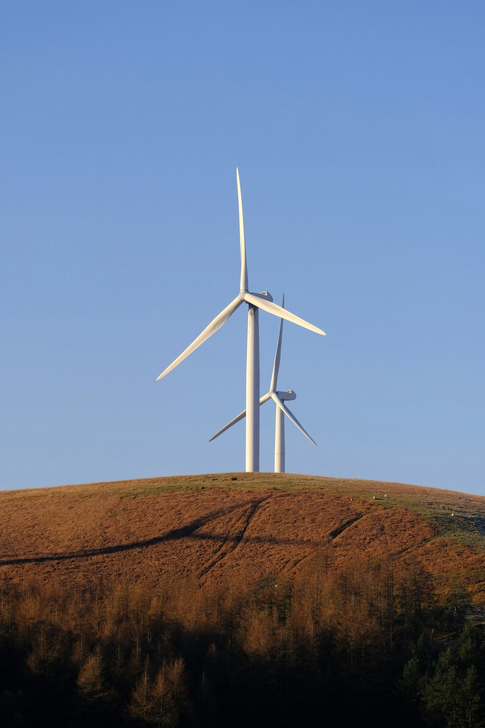 a group of wind turbines on top of a hill