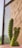 A cactus plant with several tall, green stems covered in spines is situated in a pink pot. It is placed next to a brick wall with sunlight casting shadows on the surface. The image background features a window with a view of blurred greenery and a clear sky.